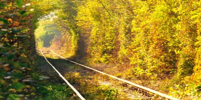 Gömul járnbrautarleið hefur með góðri hjálp náttúrunnar breyst í glæsileg náttúrleg göng sem kallast göng ástarinnar af heimamönnum