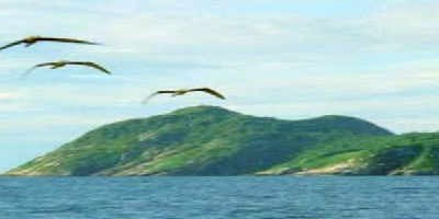 Hver hefði trúað að þessi fallega litla eyja sé hreint helvíti á jörð?