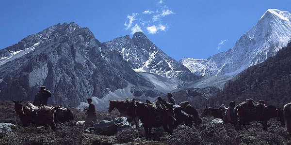 Mynd eiro
