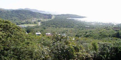 Skógi vaxin Tobago er óvitlaust að sækja heim á tombóluverði. Mynd keith_roch