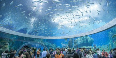 Heilu rúturnar af fólki geta notið sjávarlífsins í nærmynd á safninu Chimelong í Kína. Mynd Chimelong 