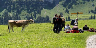 Ritstjórn Fararheill er kyrfilega á þeirri skoðun að ferðalög opni augu og fylli hjarta af neista og ýmislegt bendir til að það sé rétt. Mynd HD Zimmerman