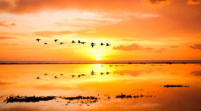 Þess vegna ætti áramótaheitið að vera fleiri ferðalög...