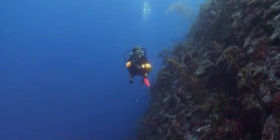 Hér hefur öll umferð verið bönnuð lengi vel og afleiðingin er nánast ósnertur hafsbotn við Kúbu. Mynd Oleg Lugansk