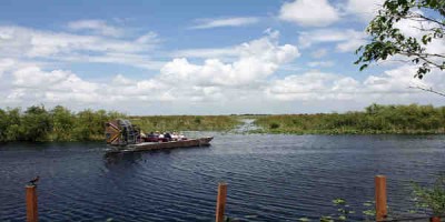 Babb í loftbát. Á næstu árum verður ekki lengur hægt að skoða fenjasvæði Flórída eins og áður. Mynd Rich Jacques