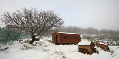 Fjallvegir á Kanarí lokaðir vegna snjóa í rúman sólarhring